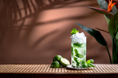 Der Mojito Cocktail - der erfrischende kubanische Highball